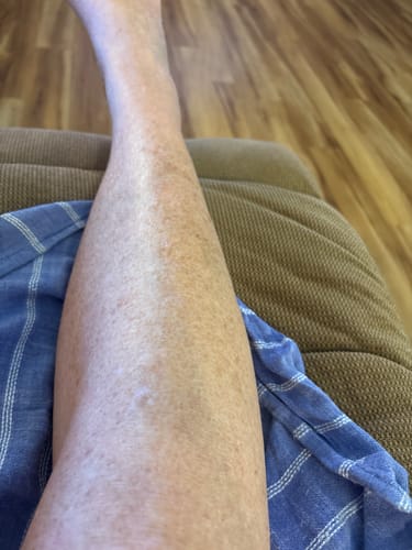 Foto da avaliação de Regina K.